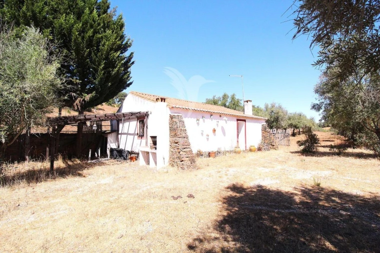Quinta T0 para Venda em São Salvador e Santa Maria Foto 32