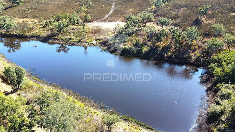 Quinta T0 para Venda em São Salvador e Santa Maria Foto 13