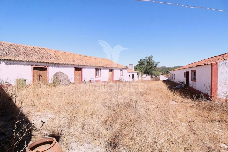 Quinta T0 para Venda em São Salvador e Santa Maria Foto 18