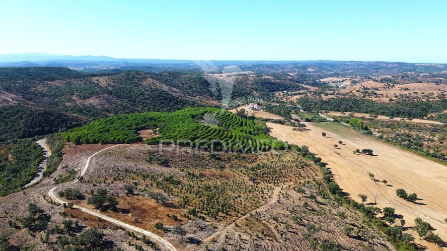 Quinta T0 para Venda em São Salvador e Santa Maria Foto 14