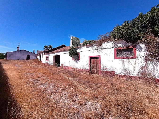 Quinta T0 para Venda em São Salvador e Santa Maria Foto 38