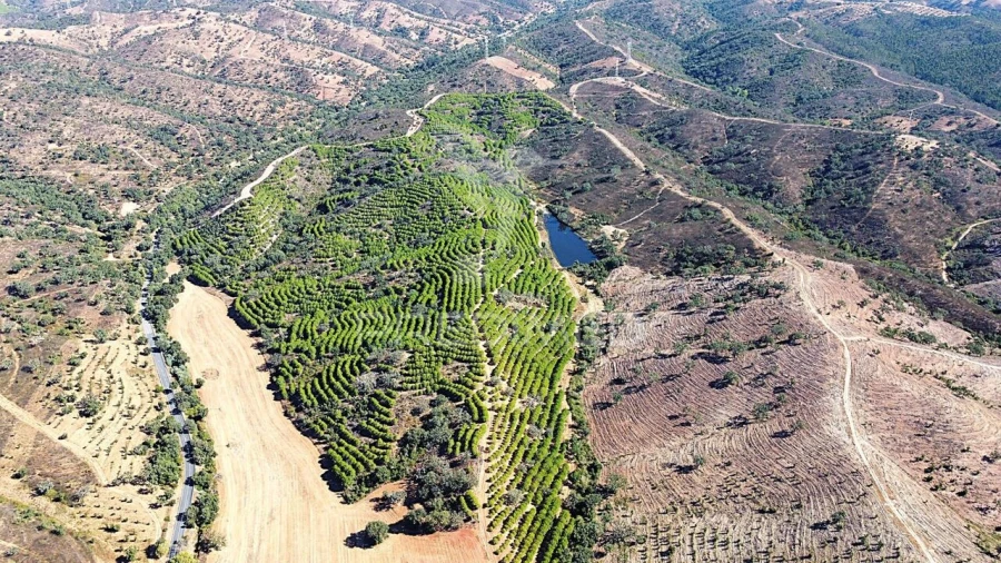 Quinta T0 para Venda em São Salvador e Santa Maria Foto 16