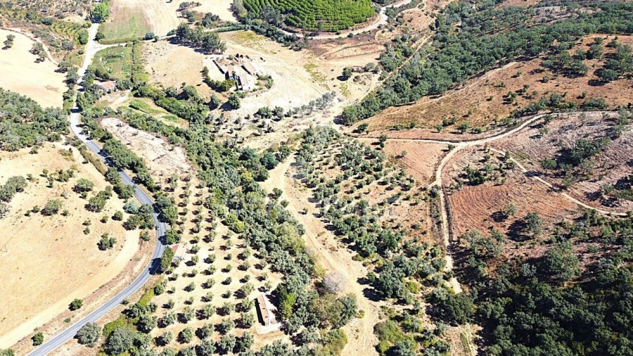Quinta T0 para Venda em São Salvador e Santa Maria