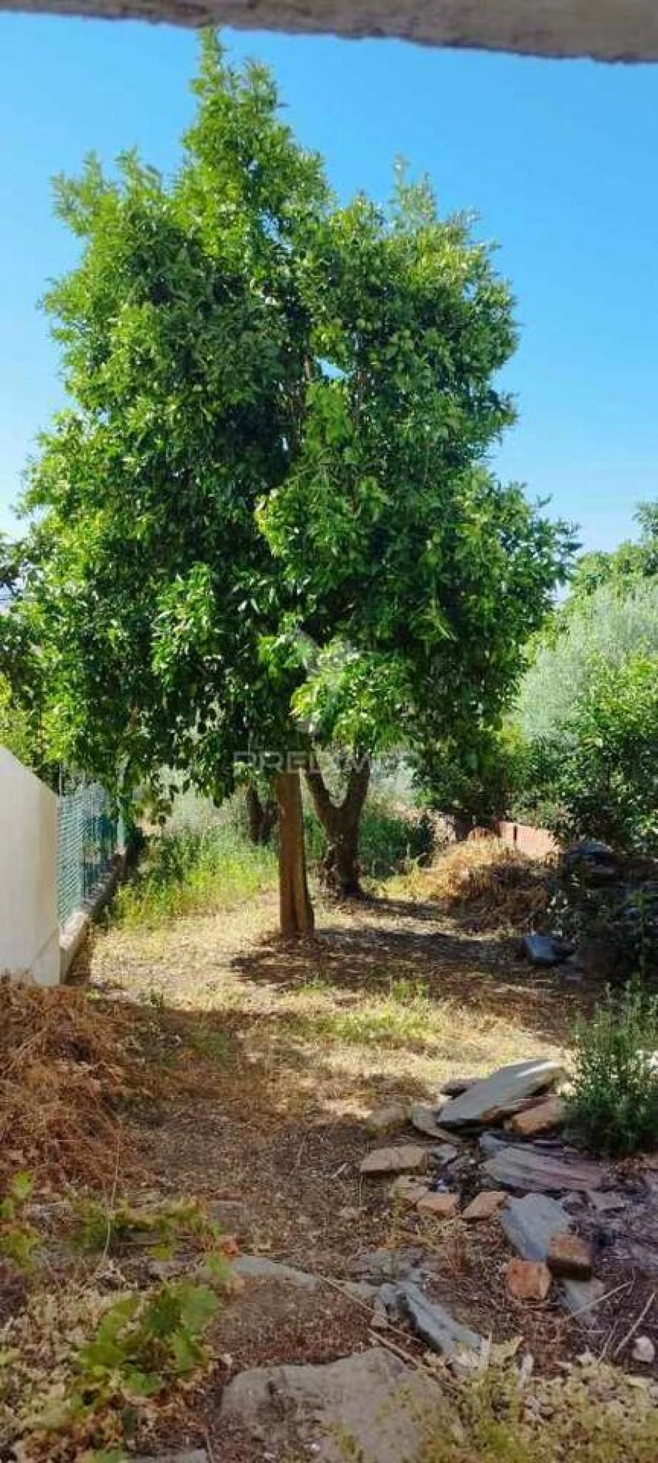 Moradia T3 para Venda em Montalvão Foto 15