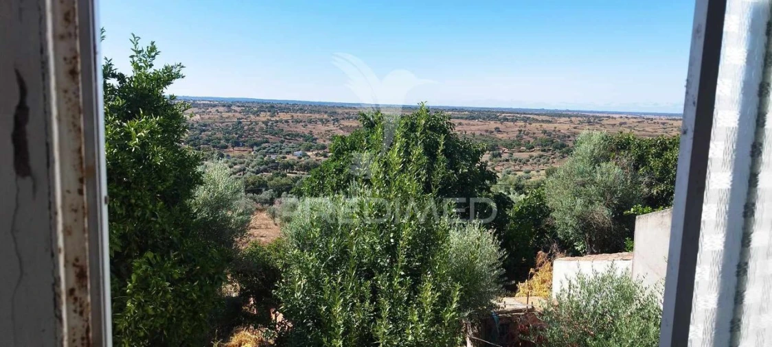 Moradia T3 para Venda em Montalvão Foto 8