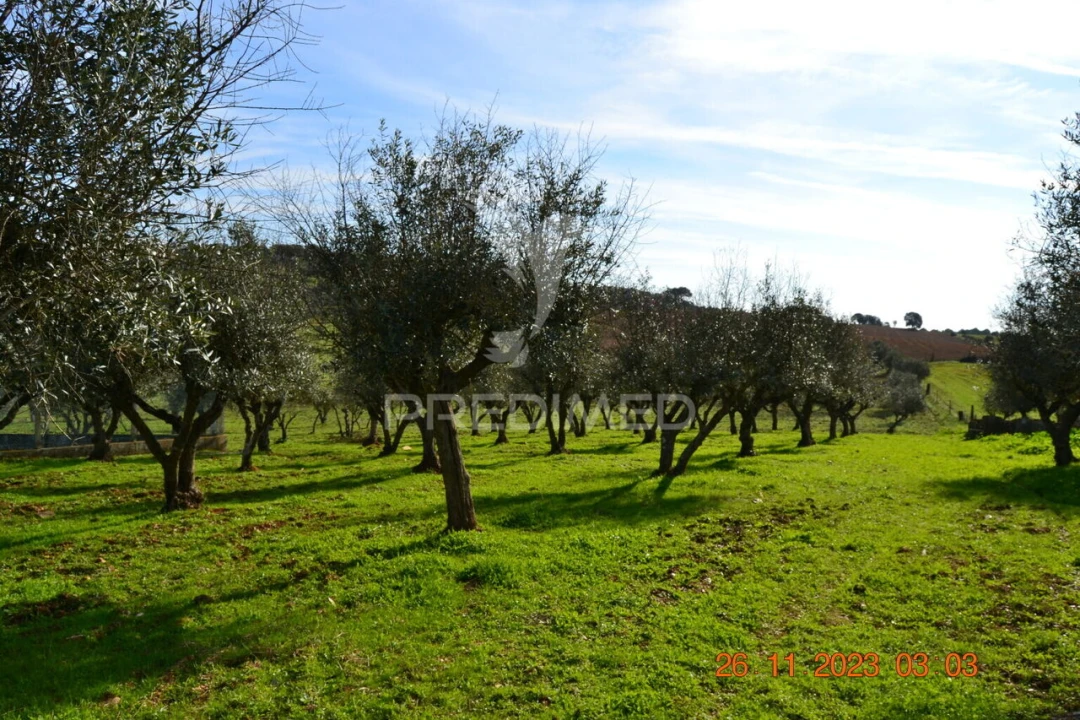 Quinta T4 para Venda em Pardais Foto 14