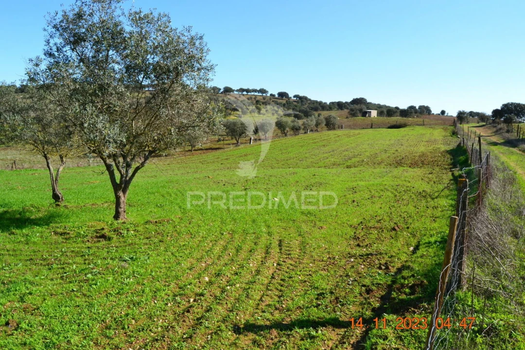 Quinta T4 para Venda em Pardais Foto 8