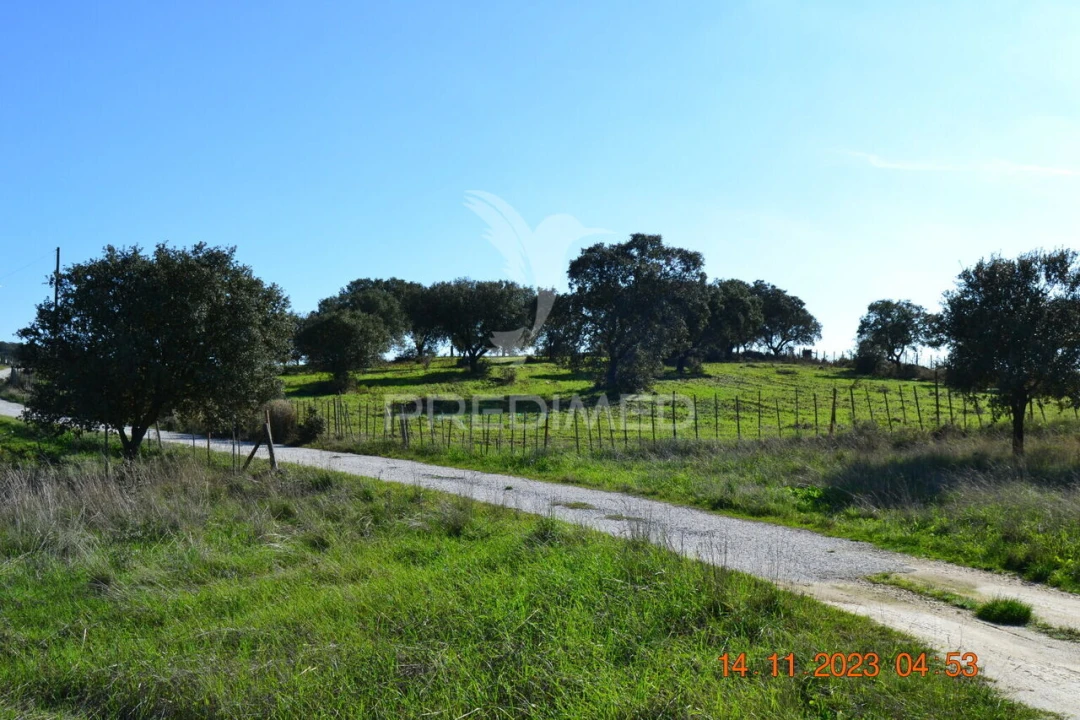 Quinta T4 para Venda em Pardais Foto 27