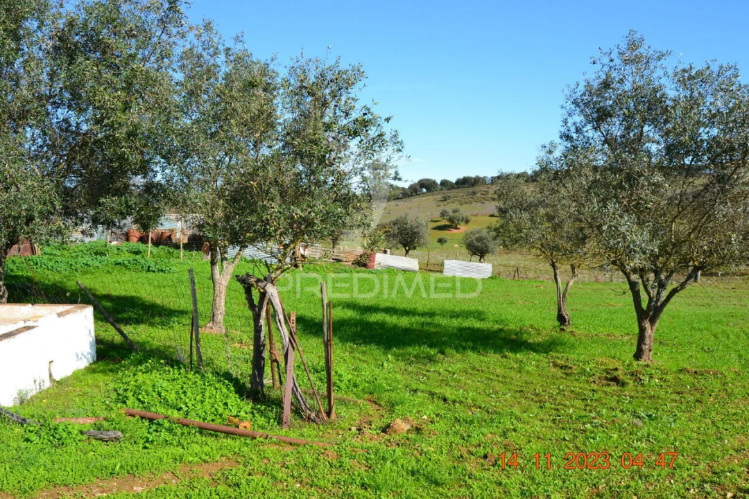 Quinta T4 para Venda em Pardais Foto 7