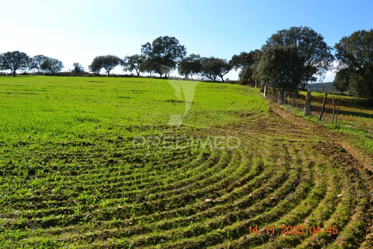 Quinta T4 para Venda em Pardais Foto 3