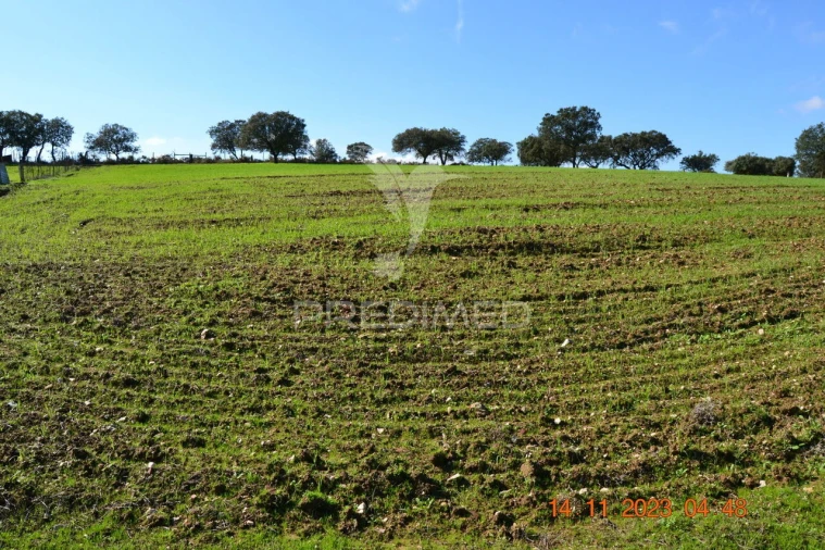 Quinta T4 para Venda em Pardais Foto 11