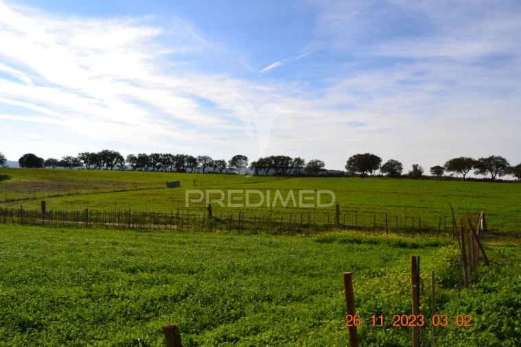 Quinta T4 para Venda em Pardais Foto 29