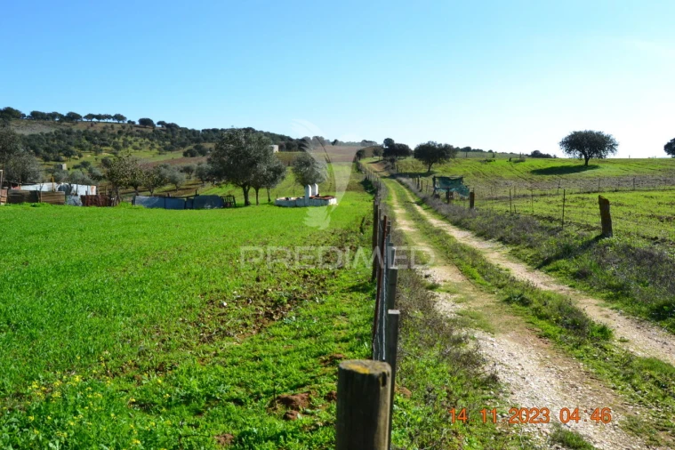 Quinta T4 para Venda em Pardais Foto 6