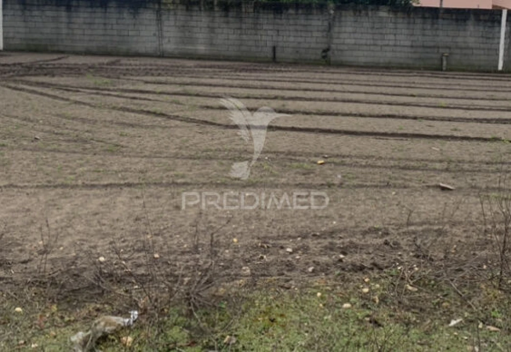 Terreno para Venda em Estela Foto 1