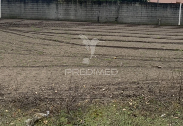 Terreno para Venda em Estela