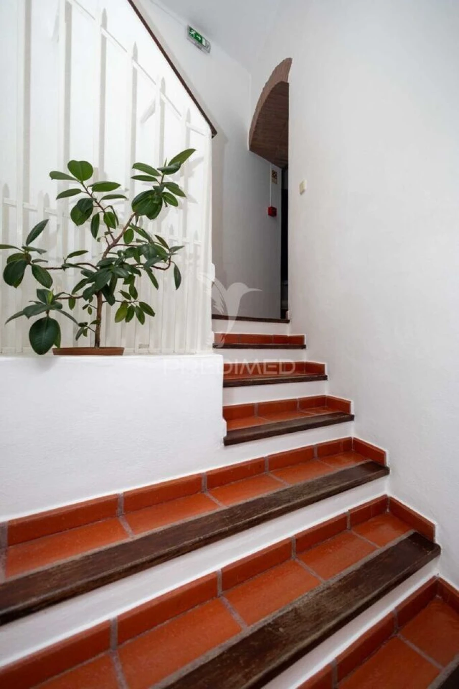 Negócio para Venda em Nossa Senhora da Conceição, São Brás dos Matos, Juromenha Foto 8