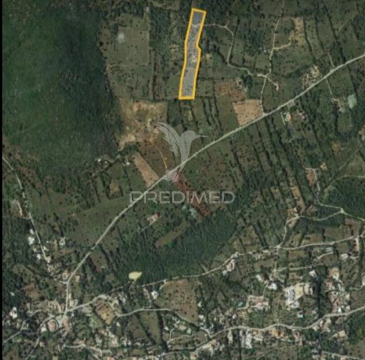 Terreno para Venda em São Brás de Alportel Foto 2