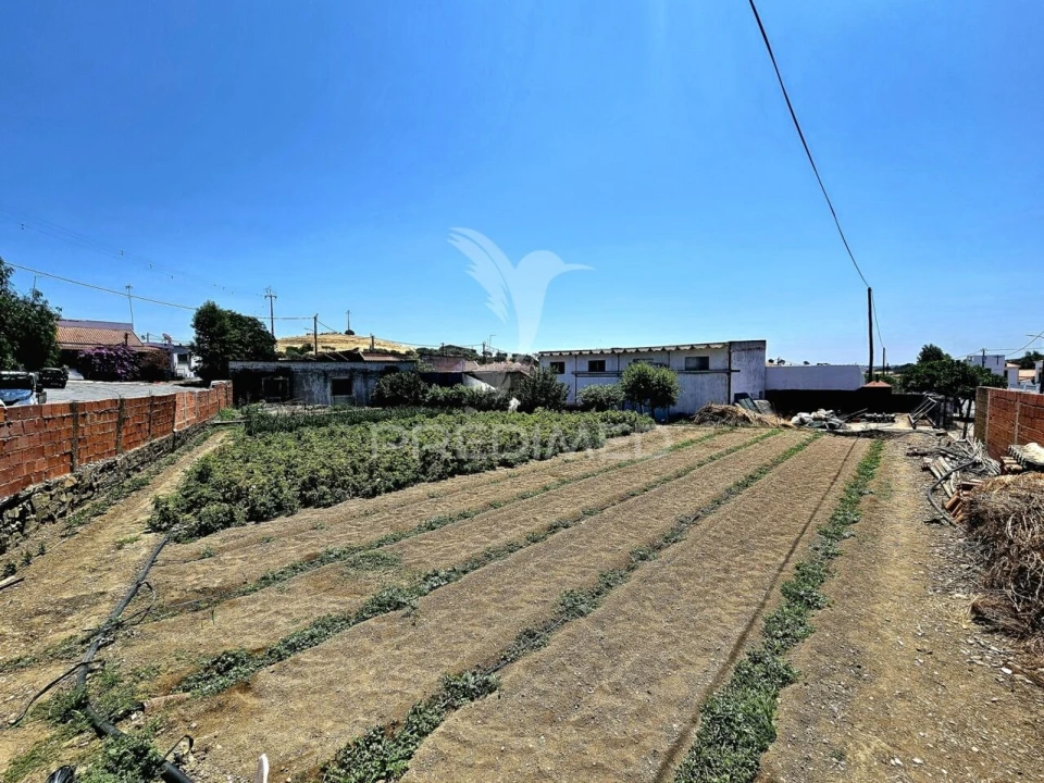 Moradia T4 para Venda em Santa Barbara de Padrões Foto 2