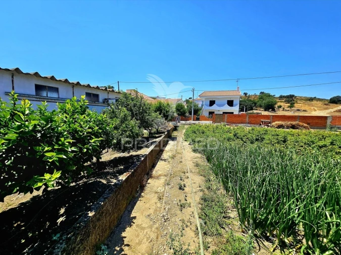 Moradia T4 para Venda em Santa Barbara de Padrões Foto 3