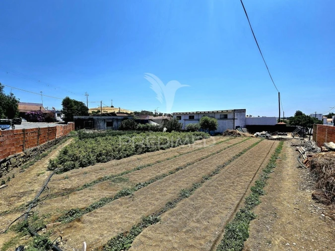 Moradia T4 para Venda em Santa Barbara de Padrões Foto 2