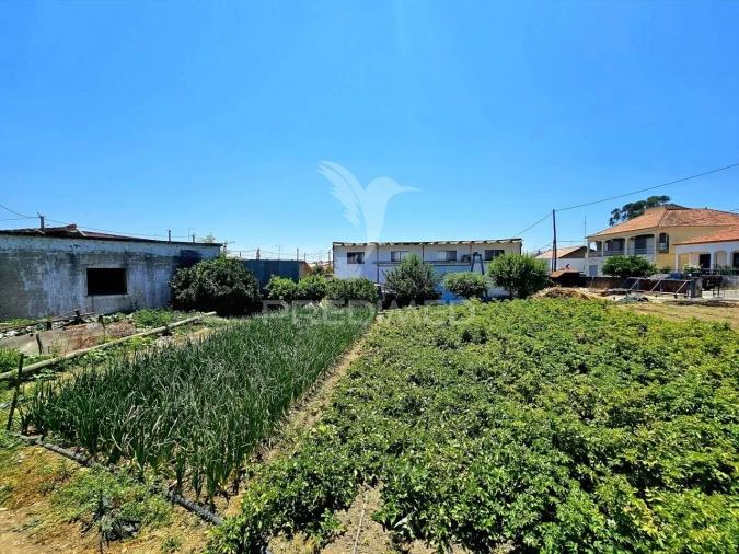 Moradia T4 para Venda em Santa Barbara de Padrões