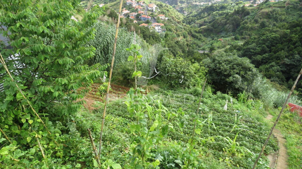 Terreno para Venda em Porto da Cruz Foto 5