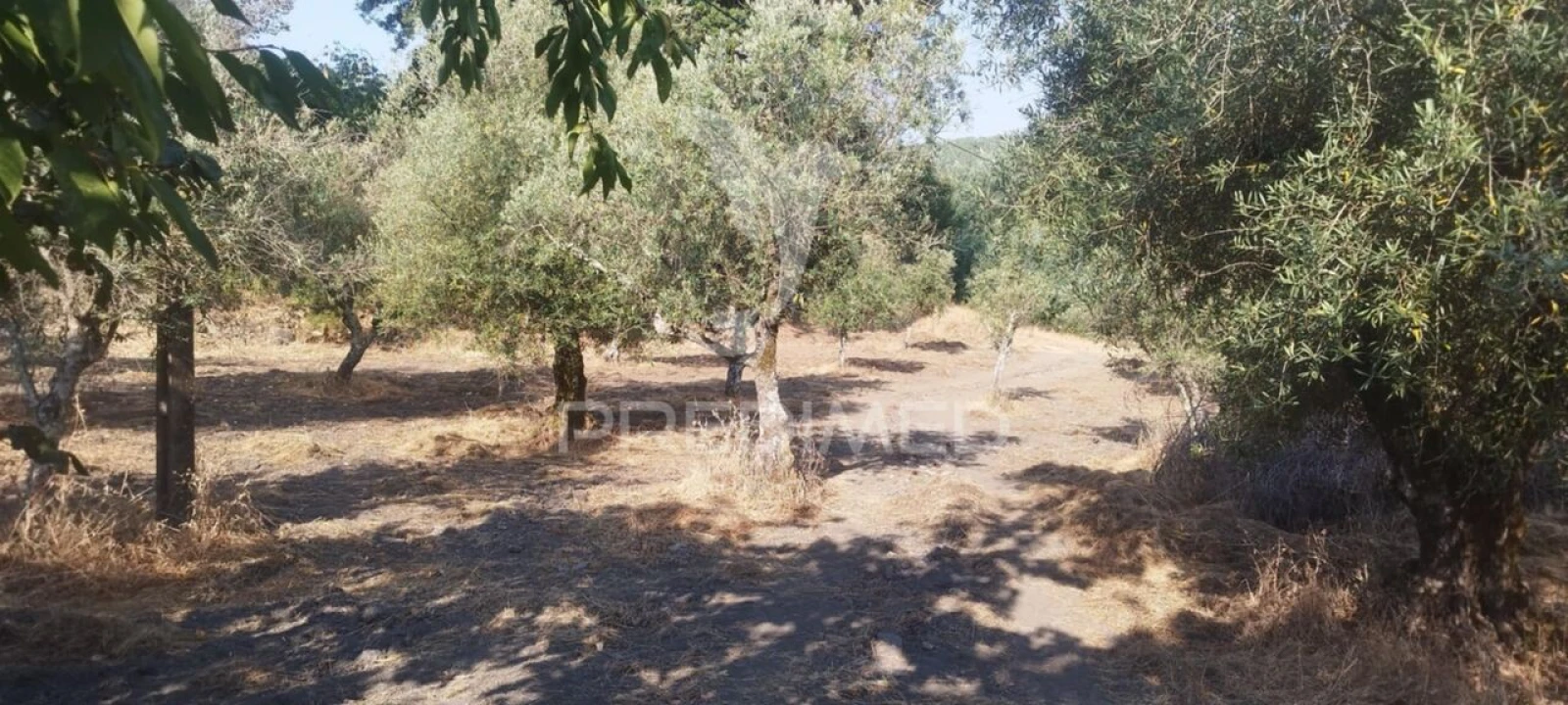 Quinta T3 para Venda em Santa Maria de Marvão Foto 9
