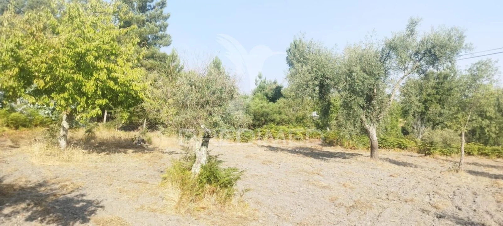 Quinta T3 para Venda em Santa Maria de Marvão Foto 12