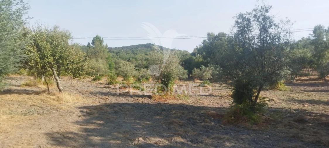 Quinta T3 para Venda em Santa Maria de Marvão Foto 18