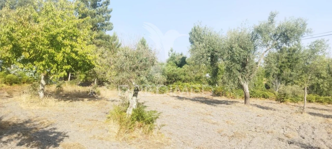 Quinta T3 para Venda em Santa Maria de Marvão Foto 12