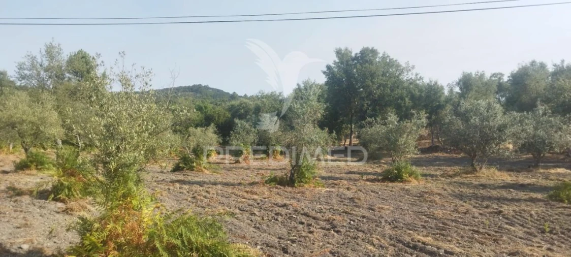 Quinta T3 para Venda em Santa Maria de Marvão Foto 6