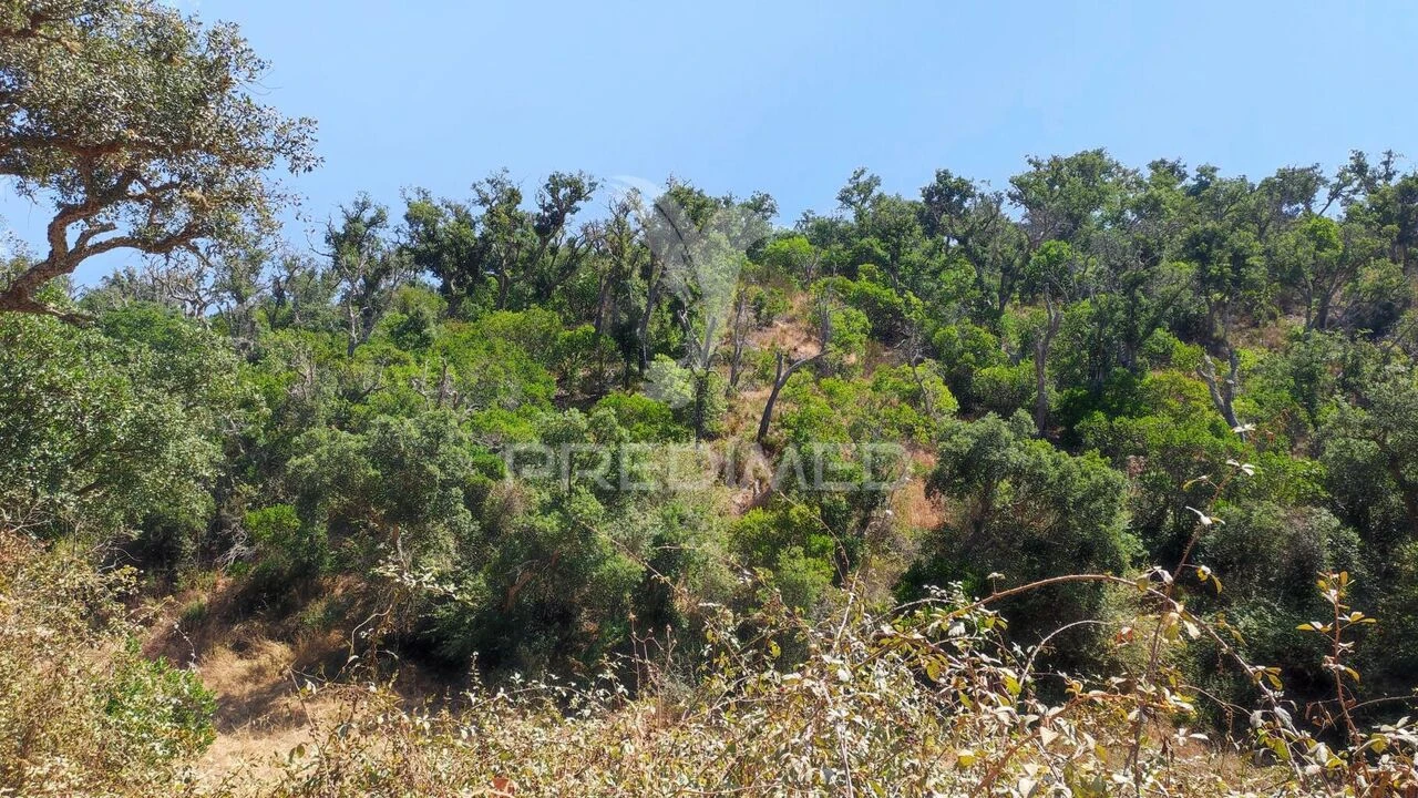 Quinta T6 para Venda em São Salvador e Santa Maria Foto 28
