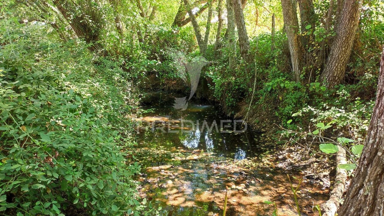 Quinta T6 para Venda em São Salvador e Santa Maria Foto 19