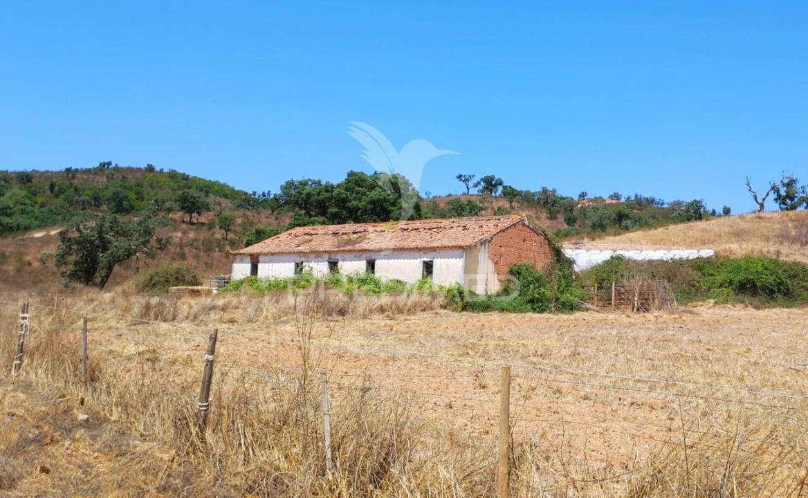 Quinta T6 para Venda em São Salvador e Santa Maria Foto 1
