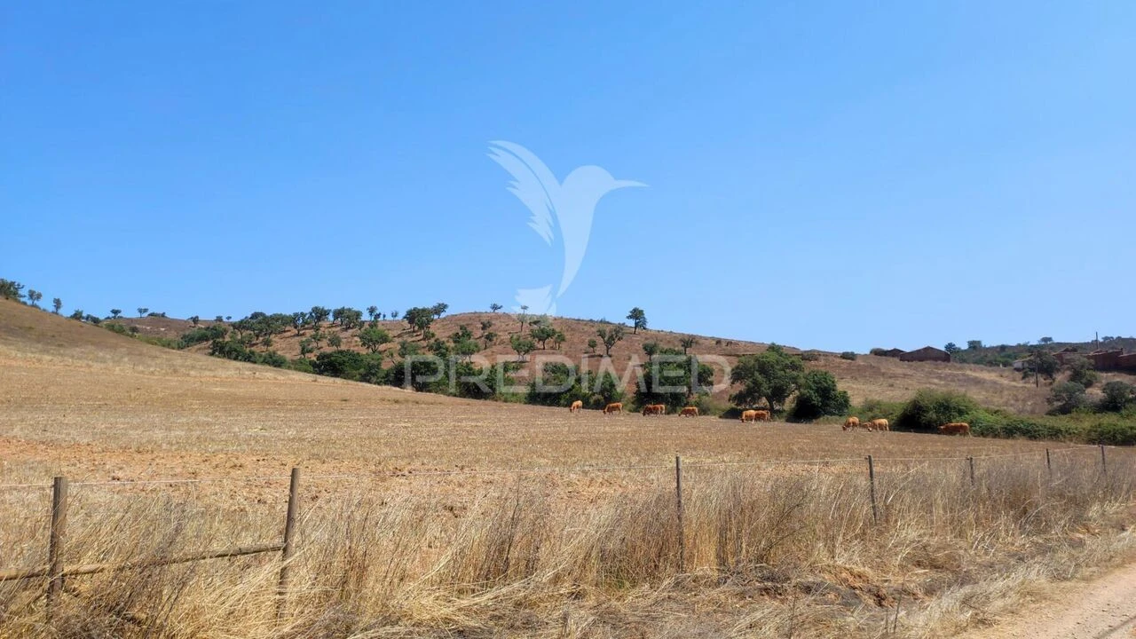 Quinta T6 para Venda em São Salvador e Santa Maria Foto 24