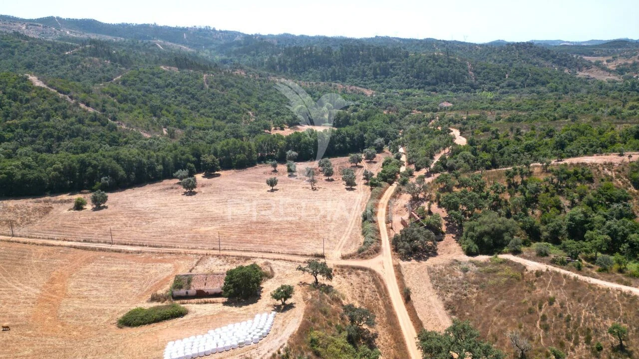 Quinta T6 para Venda em São Salvador e Santa Maria Foto 11