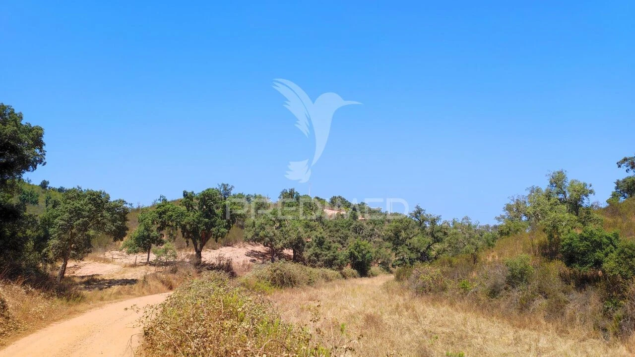 Quinta T6 para Venda em São Salvador e Santa Maria Foto 22