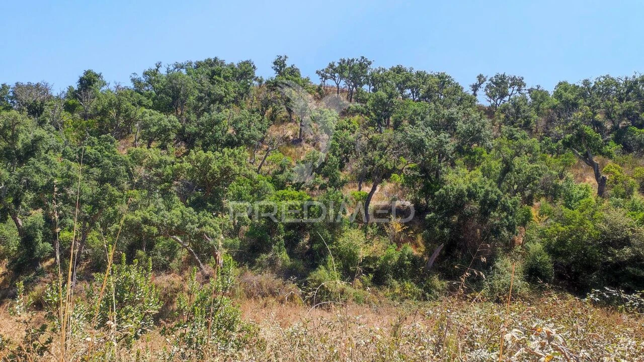 Quinta T6 para Venda em São Salvador e Santa Maria Foto 26