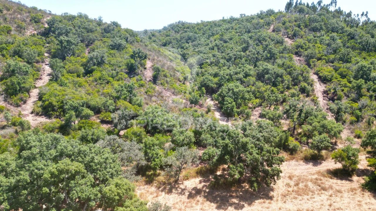 Quinta T6 para Venda em São Salvador e Santa Maria Foto 29