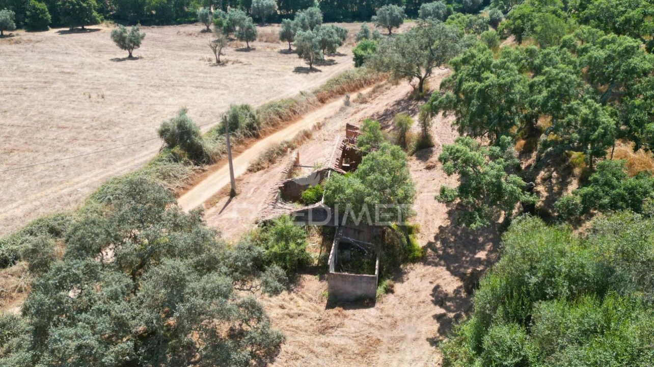 Quinta T6 para Venda em São Salvador e Santa Maria Foto 14