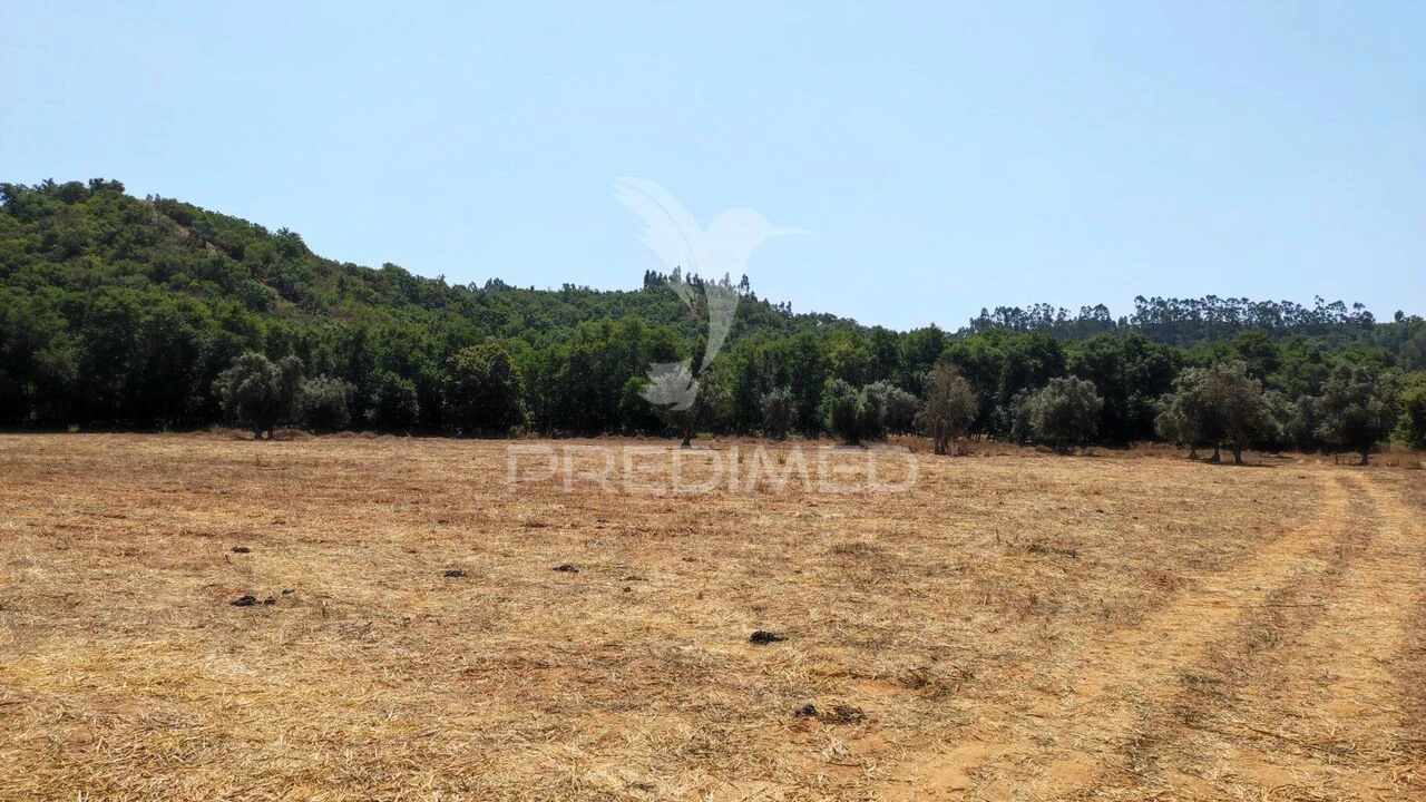 Quinta T6 para Venda em São Salvador e Santa Maria Foto 25