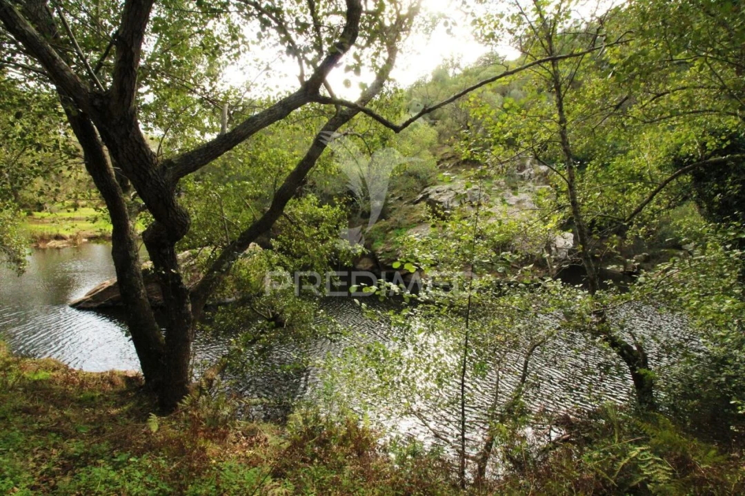 Quinta T6 para Venda em São Salvador e Santa Maria Foto 37