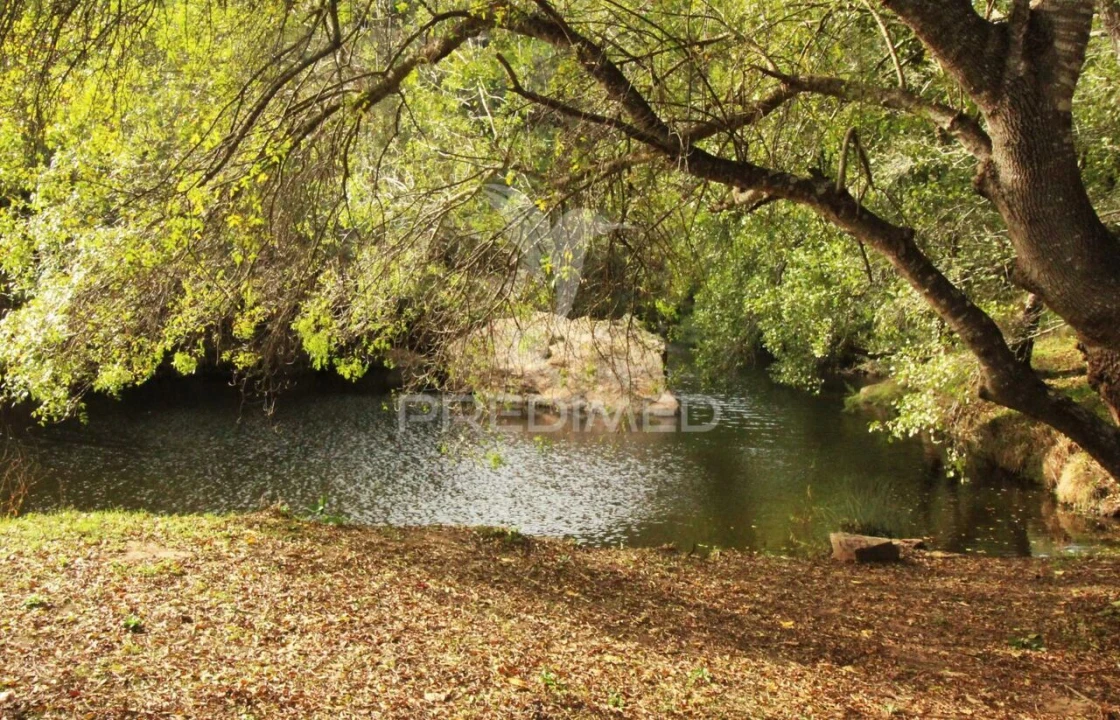 Quinta T6 para Venda em São Salvador e Santa Maria Foto 36