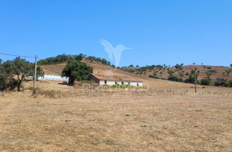 Quinta T6 para Venda em São Salvador e Santa Maria Foto 3
