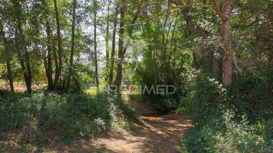 Quinta T6 para Venda em São Salvador e Santa Maria Foto 16