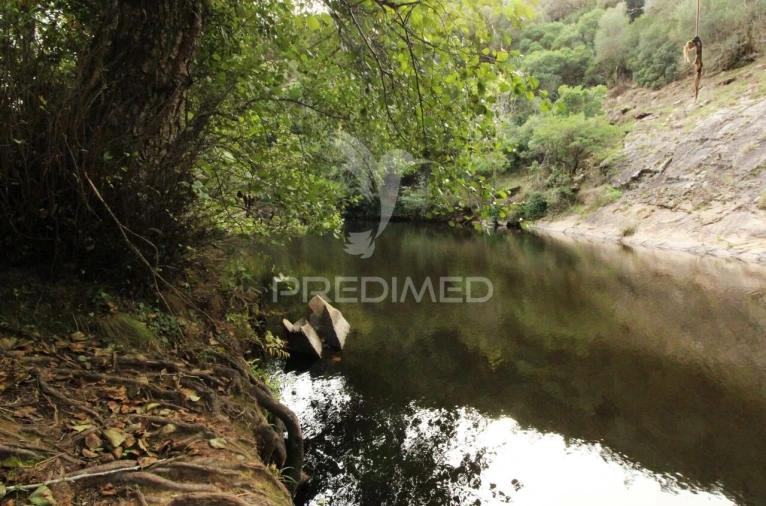 Quinta T6 para Venda em São Salvador e Santa Maria Foto 38