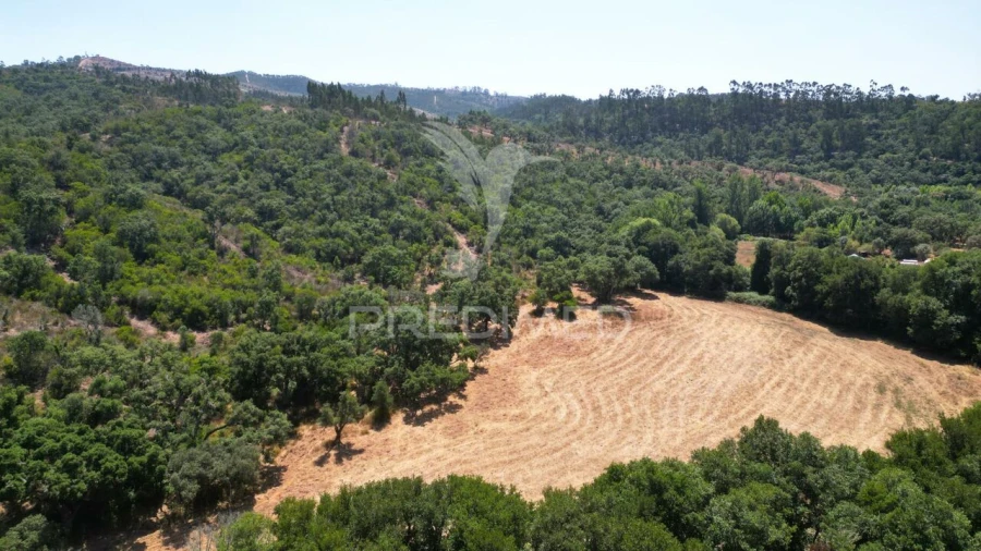 Quinta T6 para Venda em São Salvador e Santa Maria Foto 30