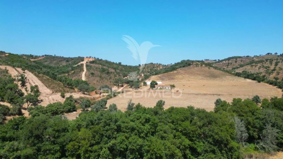 Quinta T6 para Venda em São Salvador e Santa Maria Foto 7