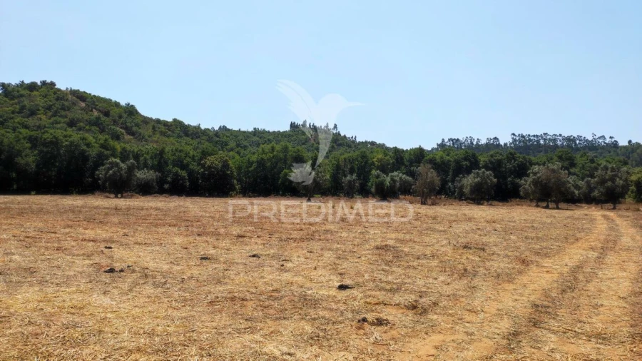 Quinta T6 para Venda em São Salvador e Santa Maria Foto 25