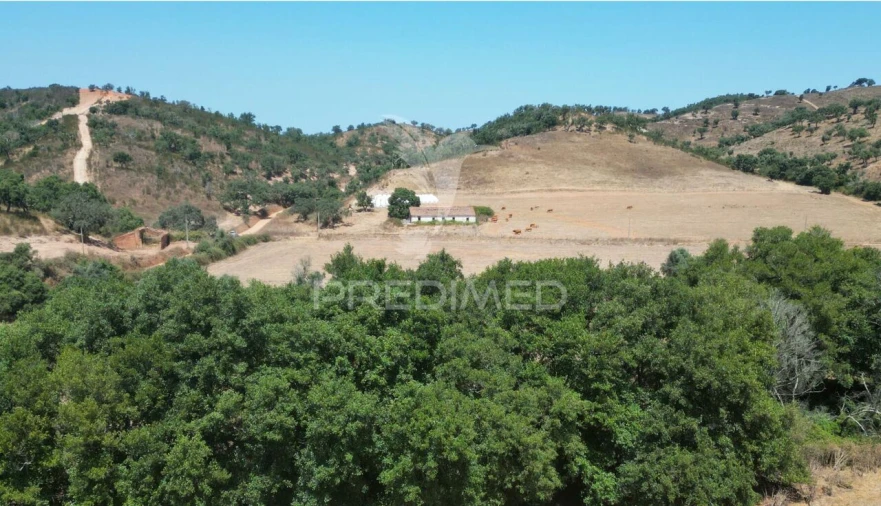 Quinta T6 para Venda em São Salvador e Santa Maria Foto 9